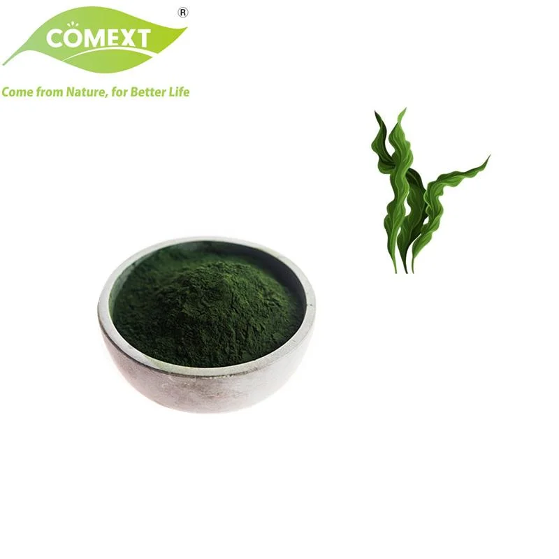 Suplemento Comext 100% Pure Natural Healthcare Green Spirulina Powder with Amostra livre