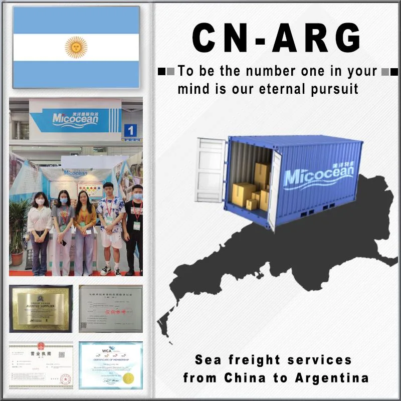 Professional Consolidation Sea Freight Transportation From China to Argentina