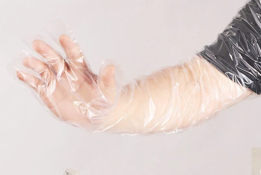 Extra Long Disposable PE Plastic Gloves Polythene Gloves