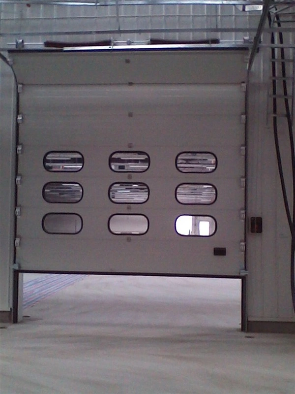 Ral High quality/High cost performance  Automatic Section Garage Door