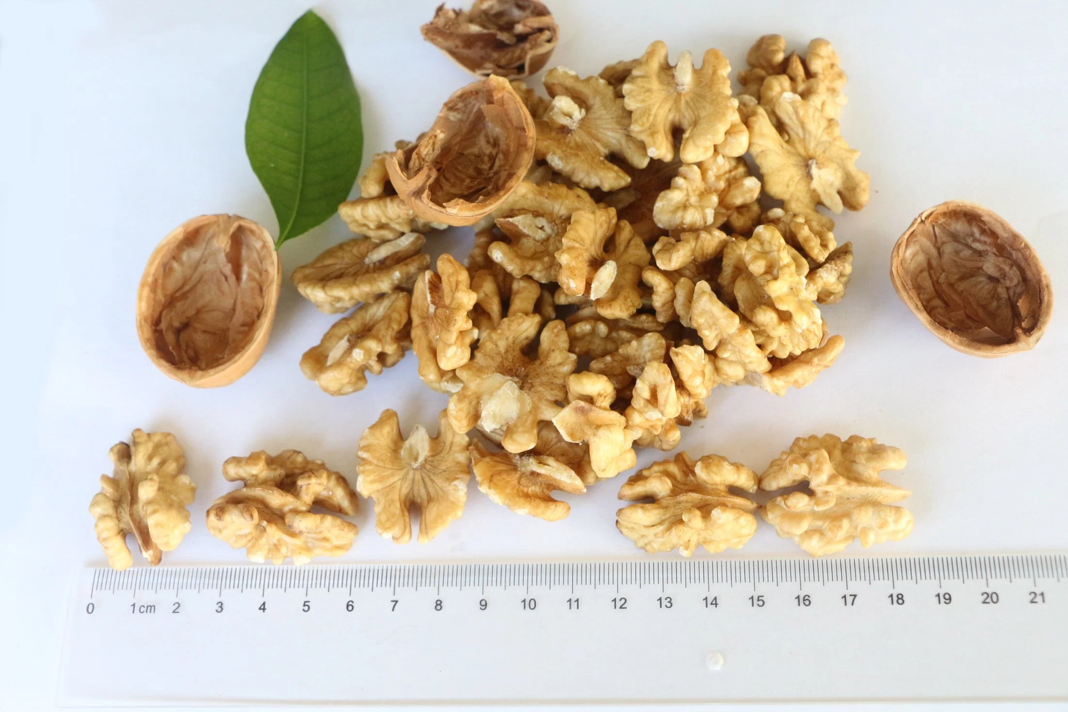 Las tuercas de orgánicos nueces frescas naturales sin cáscara de China Fabricante Precio al por mayor