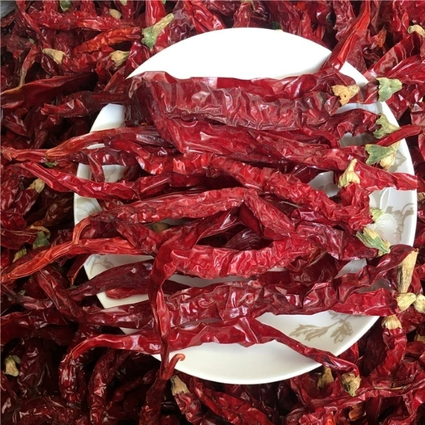 High quality/High cost performance Red Dry Xian Chill Long Pepper Cheap Price Chilli Products Factory HACCP/ISO/Brc/Kosher Certificates