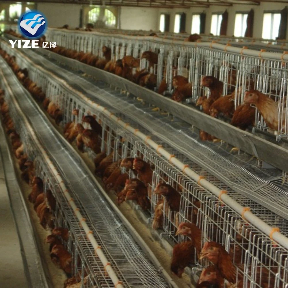 Good Selling Good Quality Chicken Farm Poultry Equipment for Sale