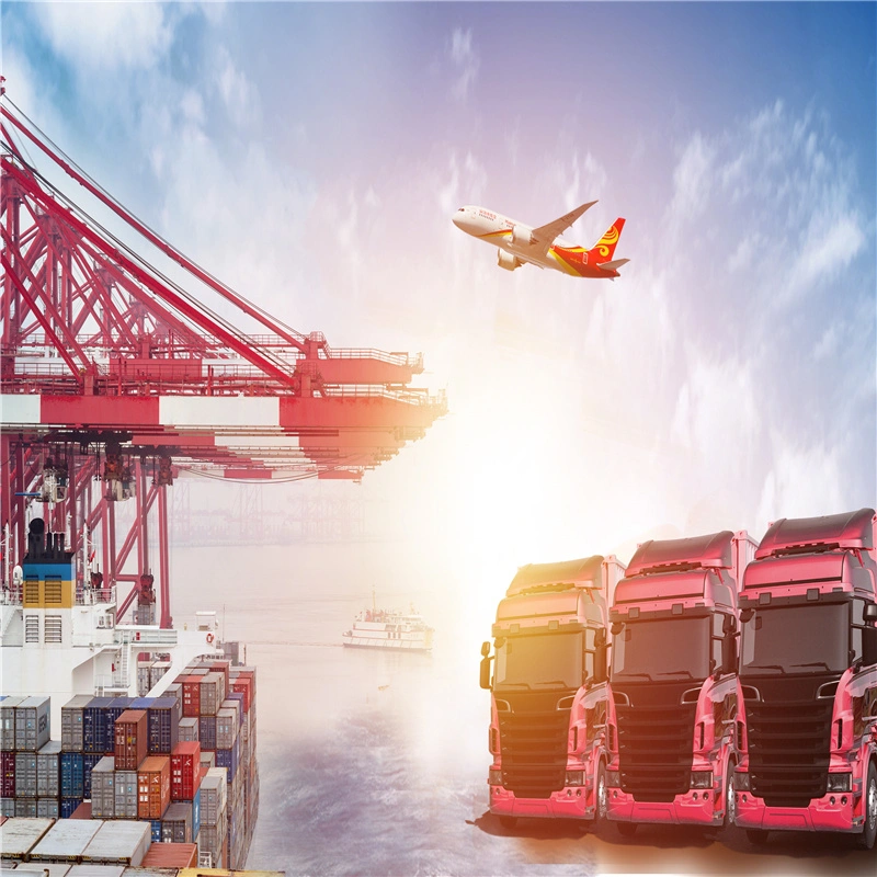 Cheapest Sea Freight Forwarder Shipping Service From China to Ashdod Israel