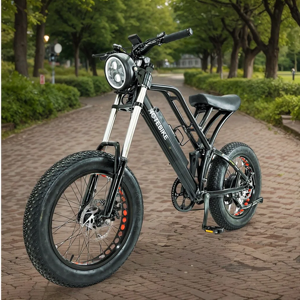 Mayorista/Proveedor personalizado de montaña bicicleta eléctrica Fatbike 20 pulgadas neumático Fat Dirtbike eléctrico de 20 pulgadas Nuevo neumático de grasa E Bike