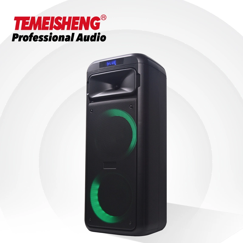 2022 Temeisheng Double 6.5 Inch Professional Wireless Outdoor Colorful Light Powered Bass Surround Sound Karaoke Speaker