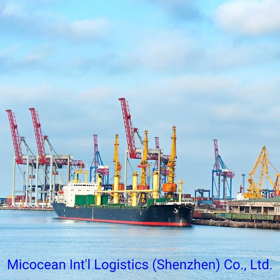 FCL/LCL Serviço de contentores de transporte marítimo da China para a Líbia