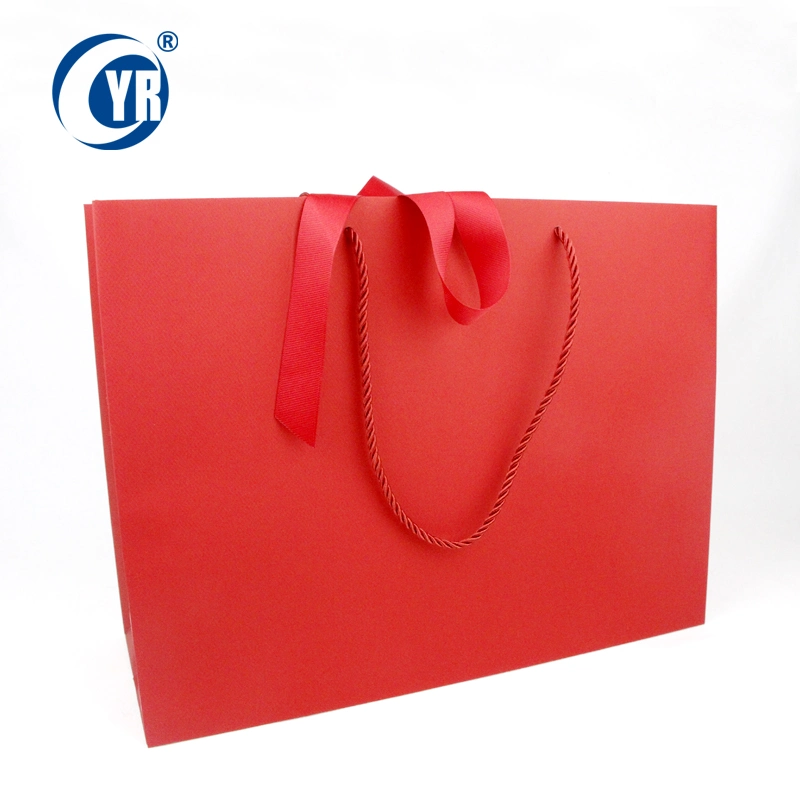 Custom Printed Luxury Branded Gift Shopping Paper Bag with Ribbon Handle for Clothing Shoe Packaging
