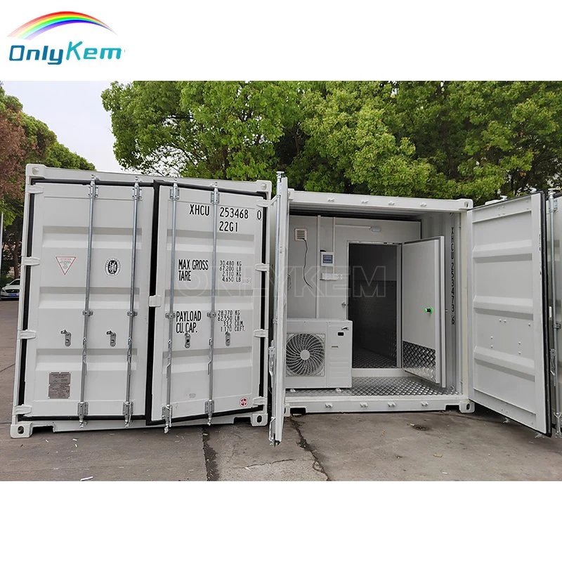 20 Feet Non-Fixed Place Cold Storage Container Cold Storage