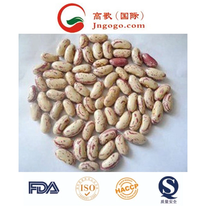 Chinese New Crop Light Speckled Kidney Bean