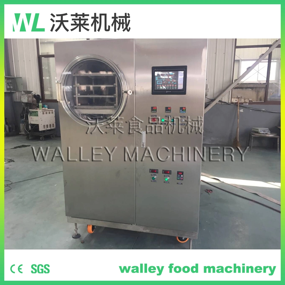 Laboratory Vacuum Freeze Drying Equipment for Experimental Use