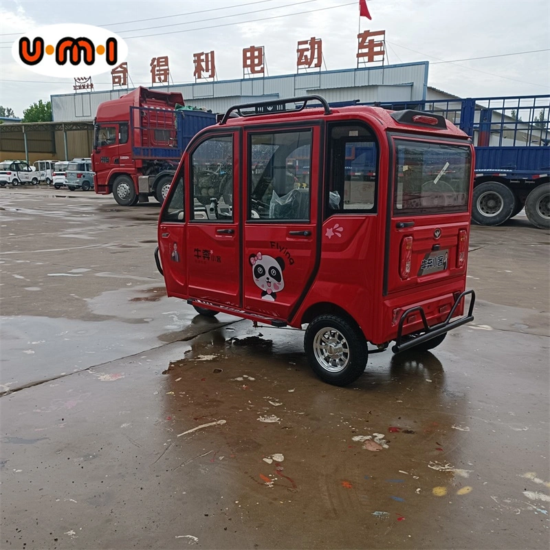 L7e EEC Certificate Electric Car Enclosed Passenger Vehicle Cheap Small SUV Electric Car for Adult