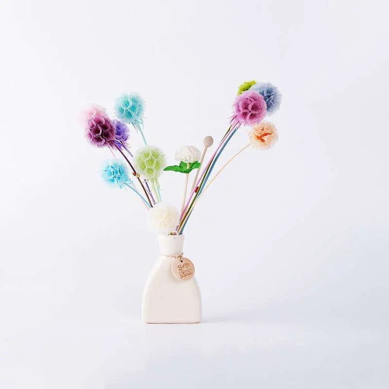 Ins Popular Windmill Dried Fruit & Scabiosa for Decoration Flowers