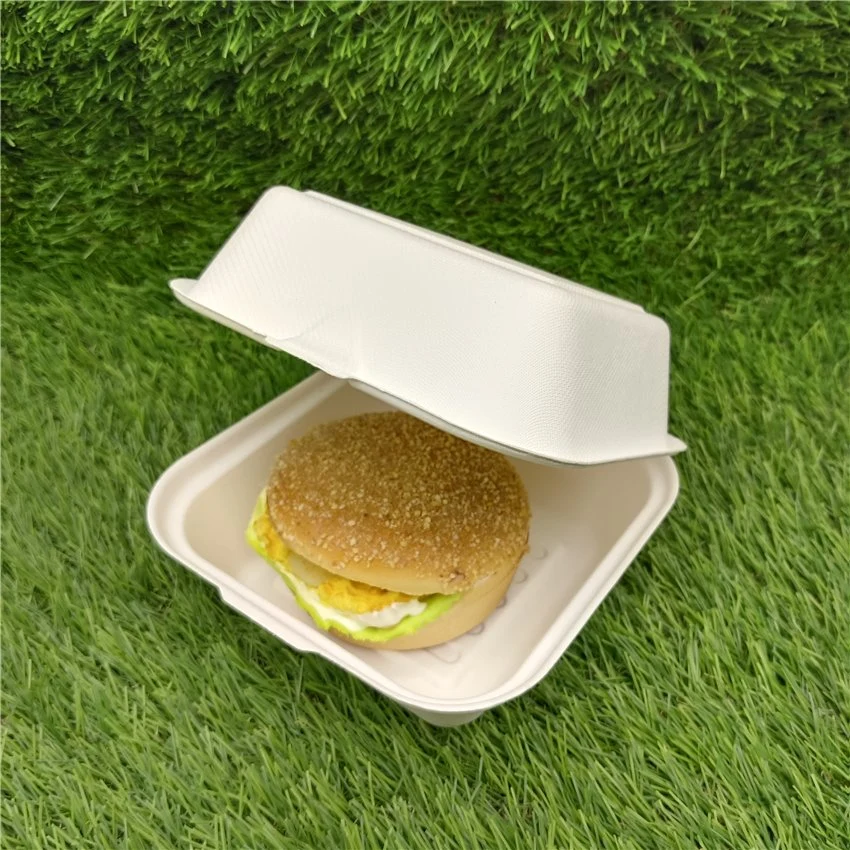 Single Compartment Clamshell Takeout Box Made From Eco-Friendly Plant Fibers