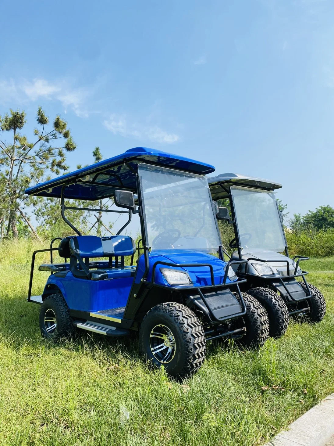 Promotion de la voiturette de golf électrique chaude 4 6 siège pour la vente touristique buggy de chasse