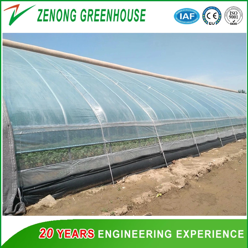 Anti-Season Vegetable Greenhouse for Tomato/Watermelon/Strawberry/Cherry/Mushroom