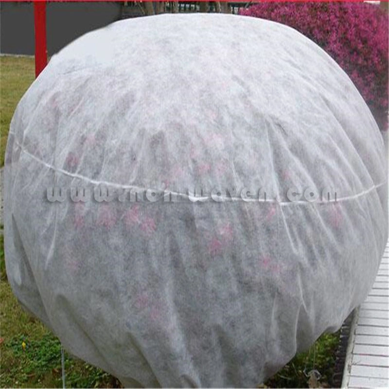 PP Non Woven Fabric Manufacturer for Agriculture