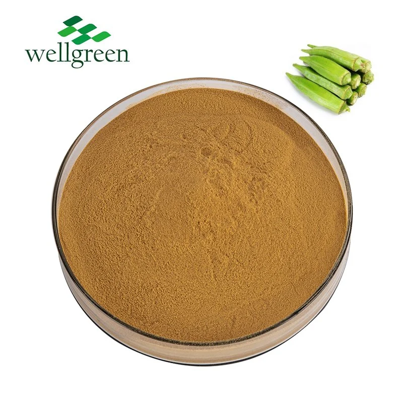 Manufacturer Supply Gumbo Extract 10: 1 Okra Plant Extract Powder Okra Seed Powder