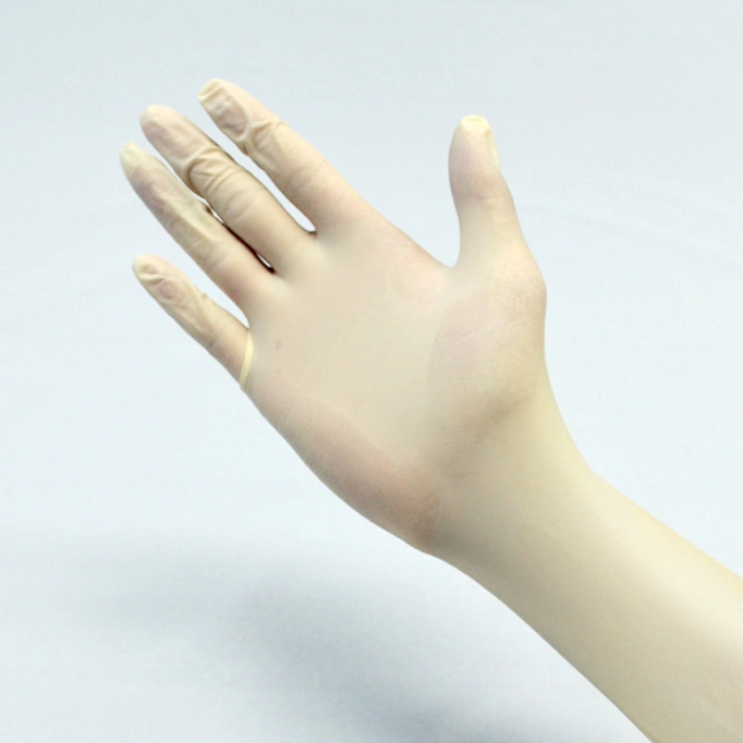 Malaysia Manufacture Stock Disposable Latex Gloves with Powdered or Powder Free