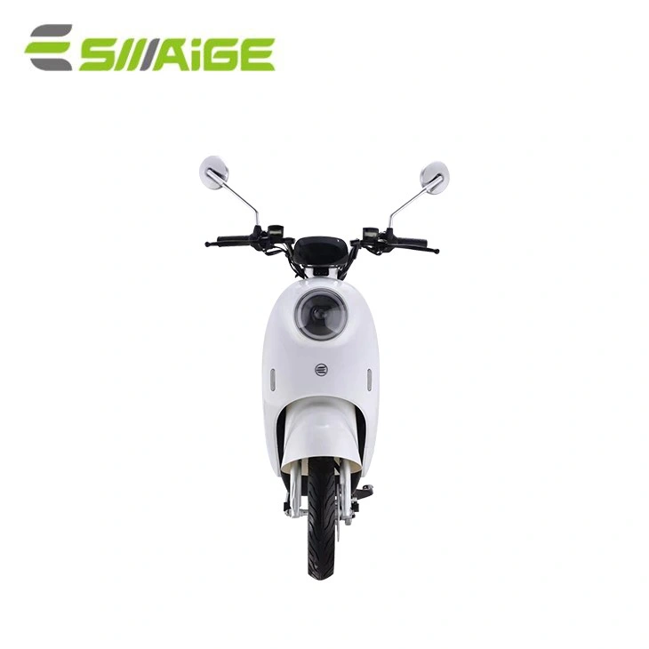 Saige 2 Wheel 800W Front and Rear Disc Brake 45km/Hr CCC CE 48V 60V Lead Acid Battery or Lithium Battery Electric Bike with NFC