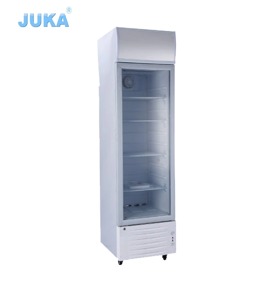 Puerta de vidrio 218 litros Vertical 12V 24V Solar Mostrador de refrigerador de exhibición