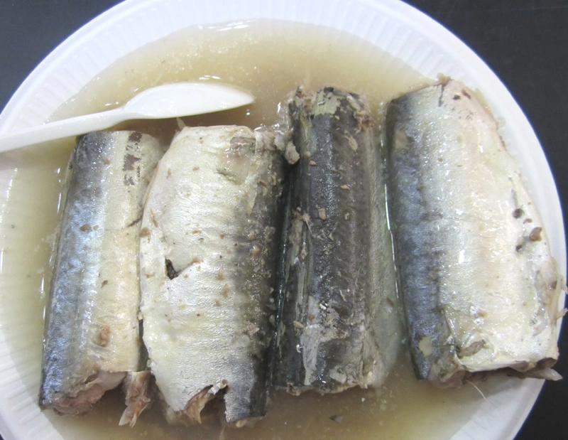 Mackerel Fish Canned Mackerel in Brine 425g in Wholesale Price From China