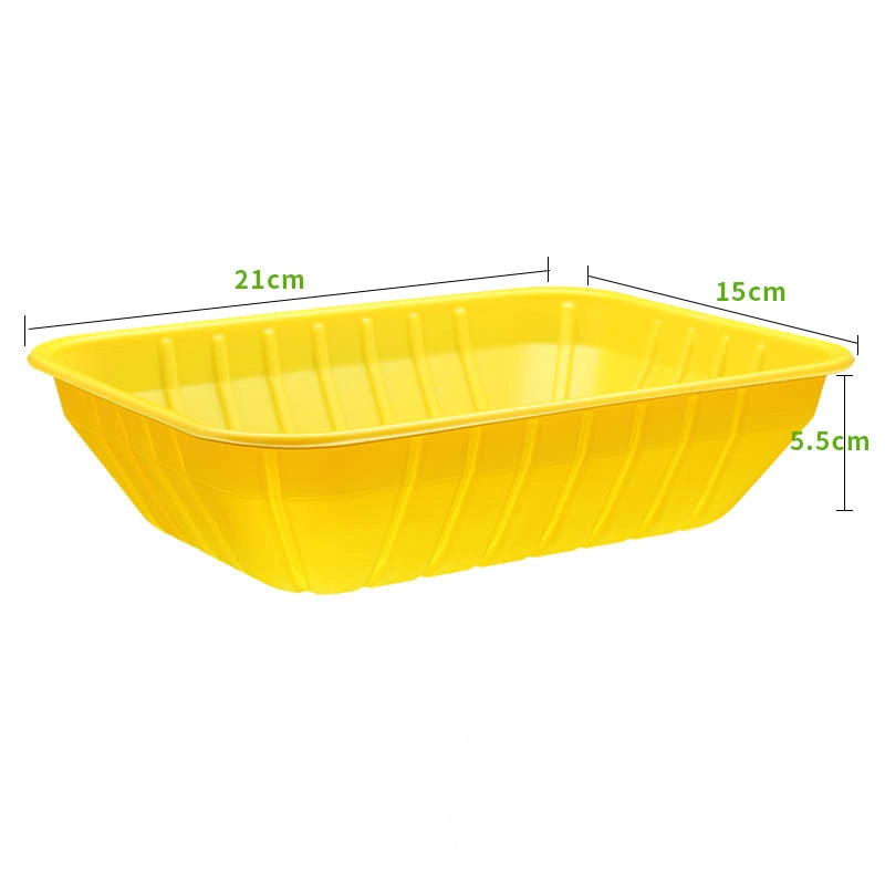 Disposable Food Package PP Packing Tray Plastic Container for Frozen Meat