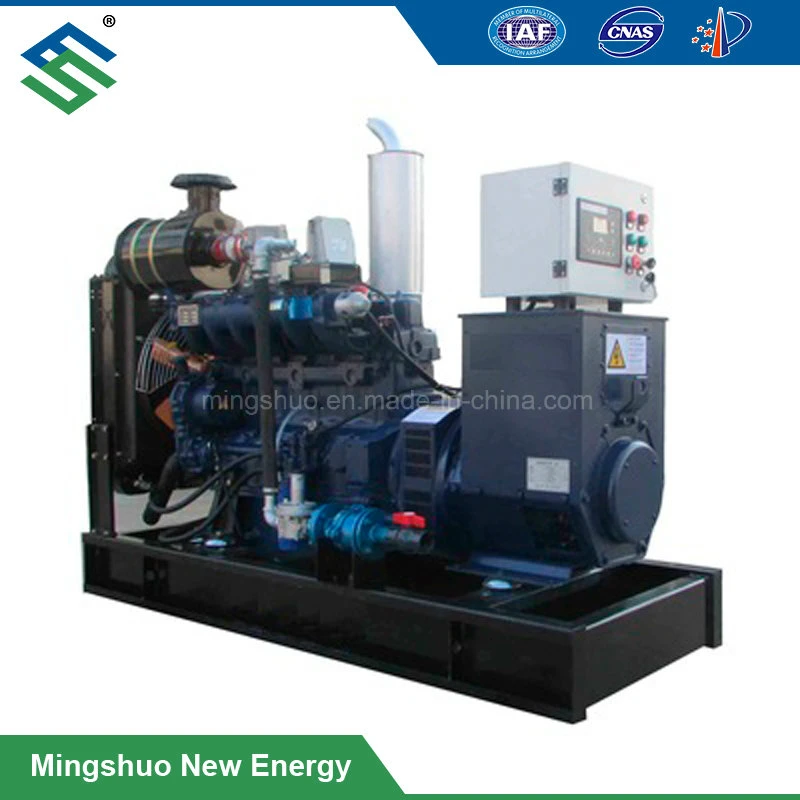 Biogas Generator Set for Gas Utilization 20kw-200kw