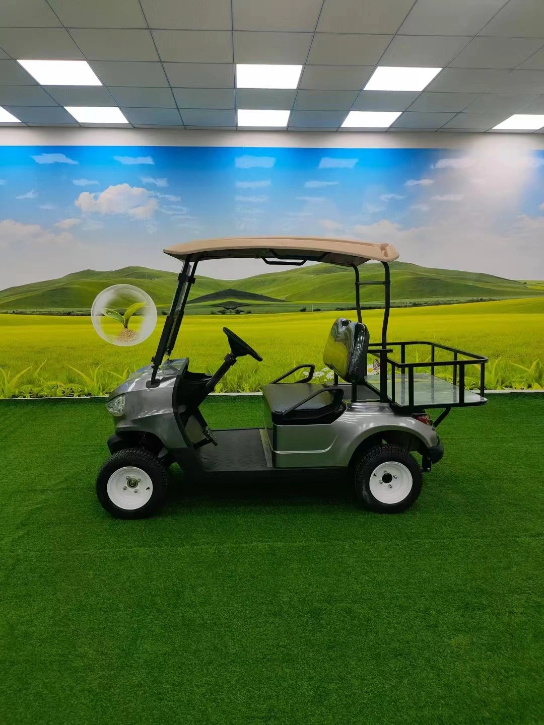 Utility Club Car Golf Cart Made in China Golf Buggy Golf Club