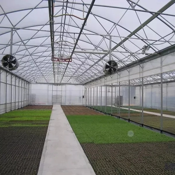 High quality/High cost performance Plastic Film Agro Economic Poly Farm Multi Span Agriculture Greenhouse