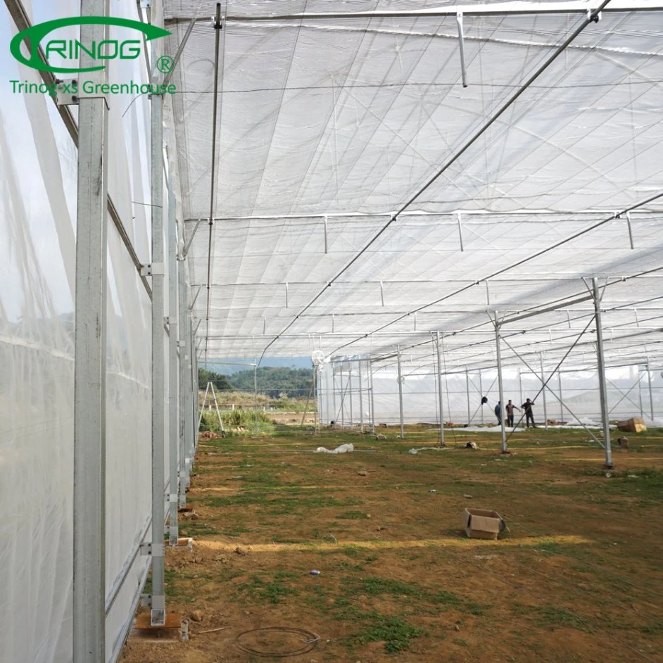 Agricultural HDPE Poly tunnel greenhouse with high quality for sale