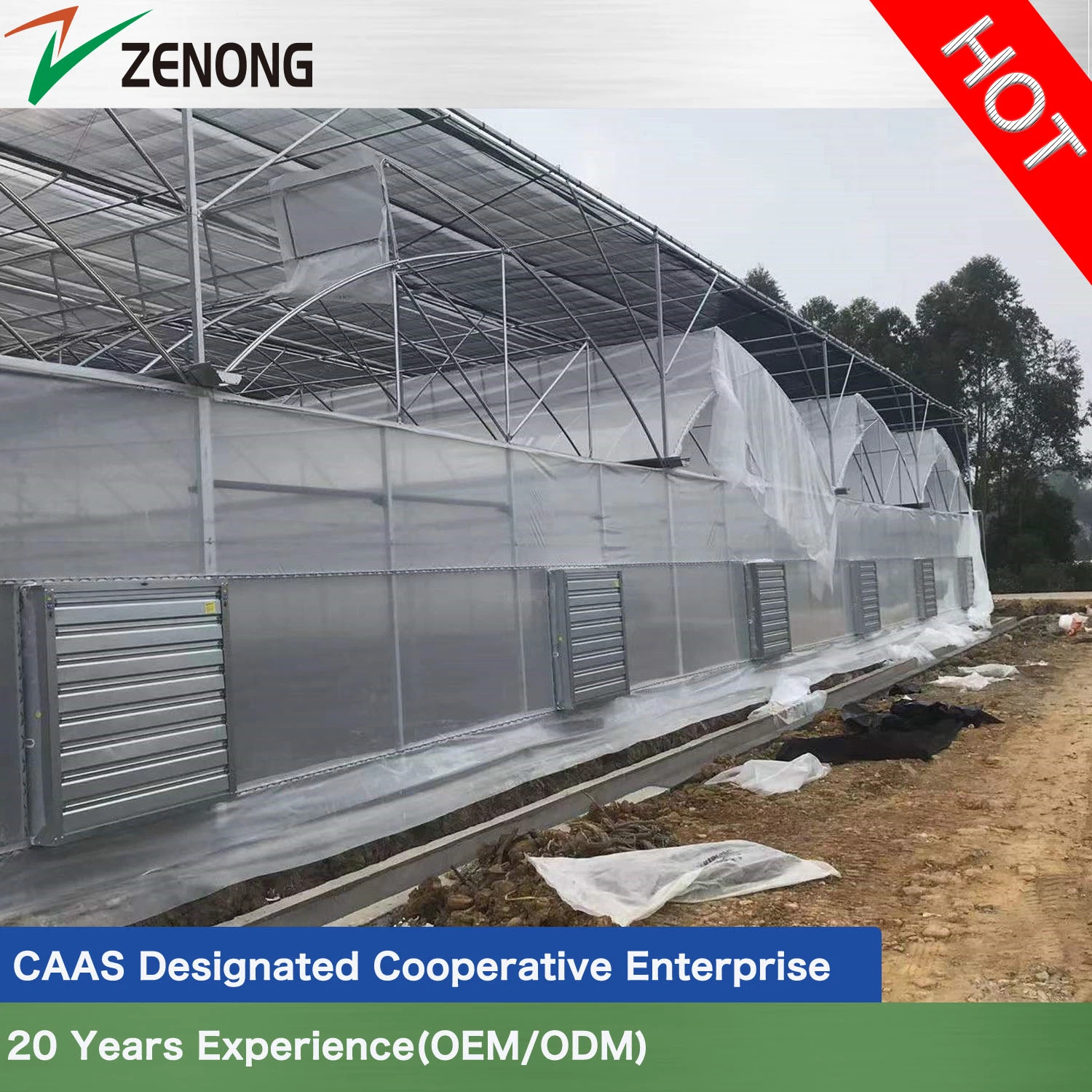 Plastic Film Greenhouse with Good Roof Ventilation and Cooling Heating System for Vertical Farming