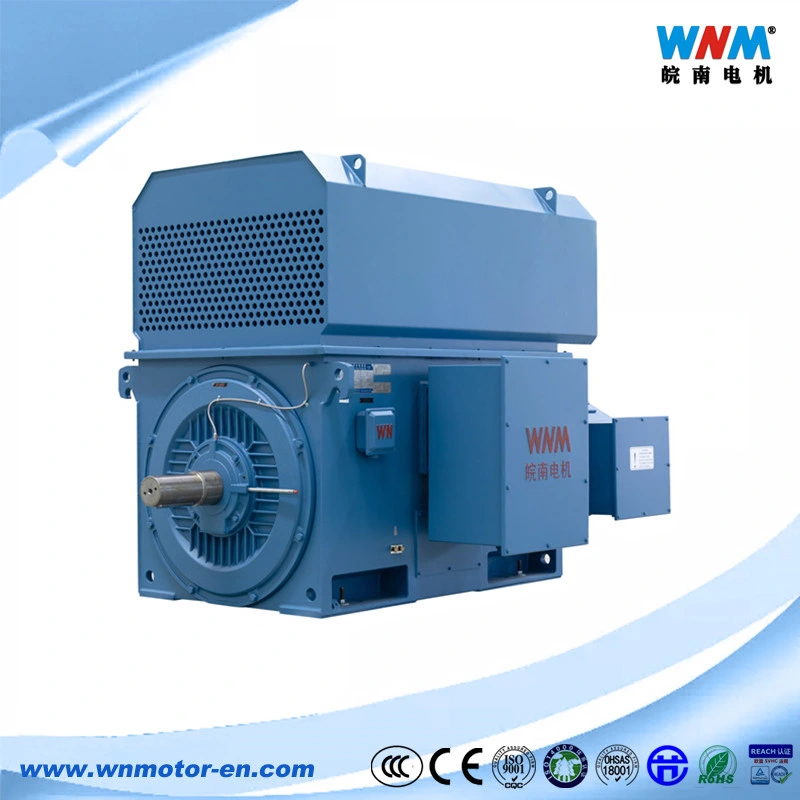 Y Ykk Yks Ykkvf Squirrel Cage Rotor Medium Voltage Asynchronous Motors