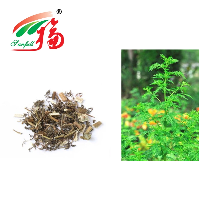 Haute qualité/performance à coût élevé Artemisia annua extrait naturel