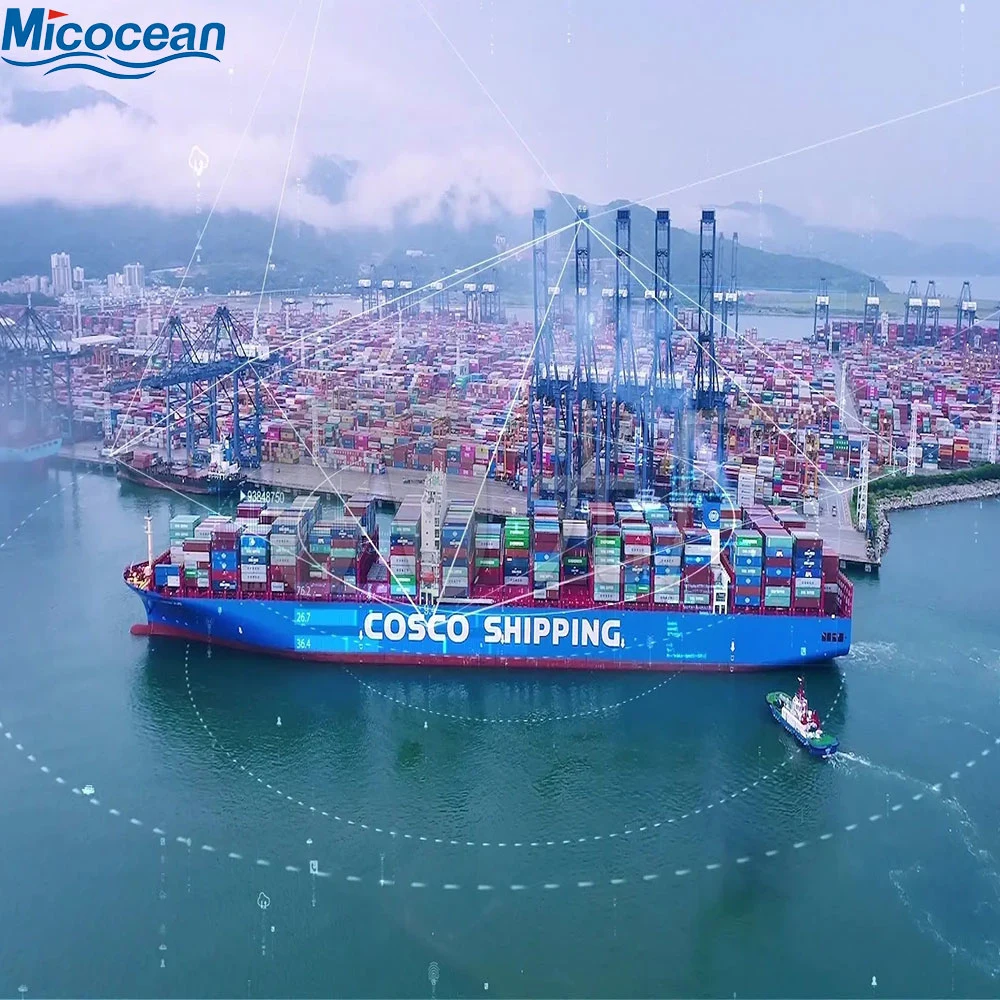 Professioneller Air Ocean Consolidation Sea Shipping/Logistics Agent aus China nach Gamlik Türkei