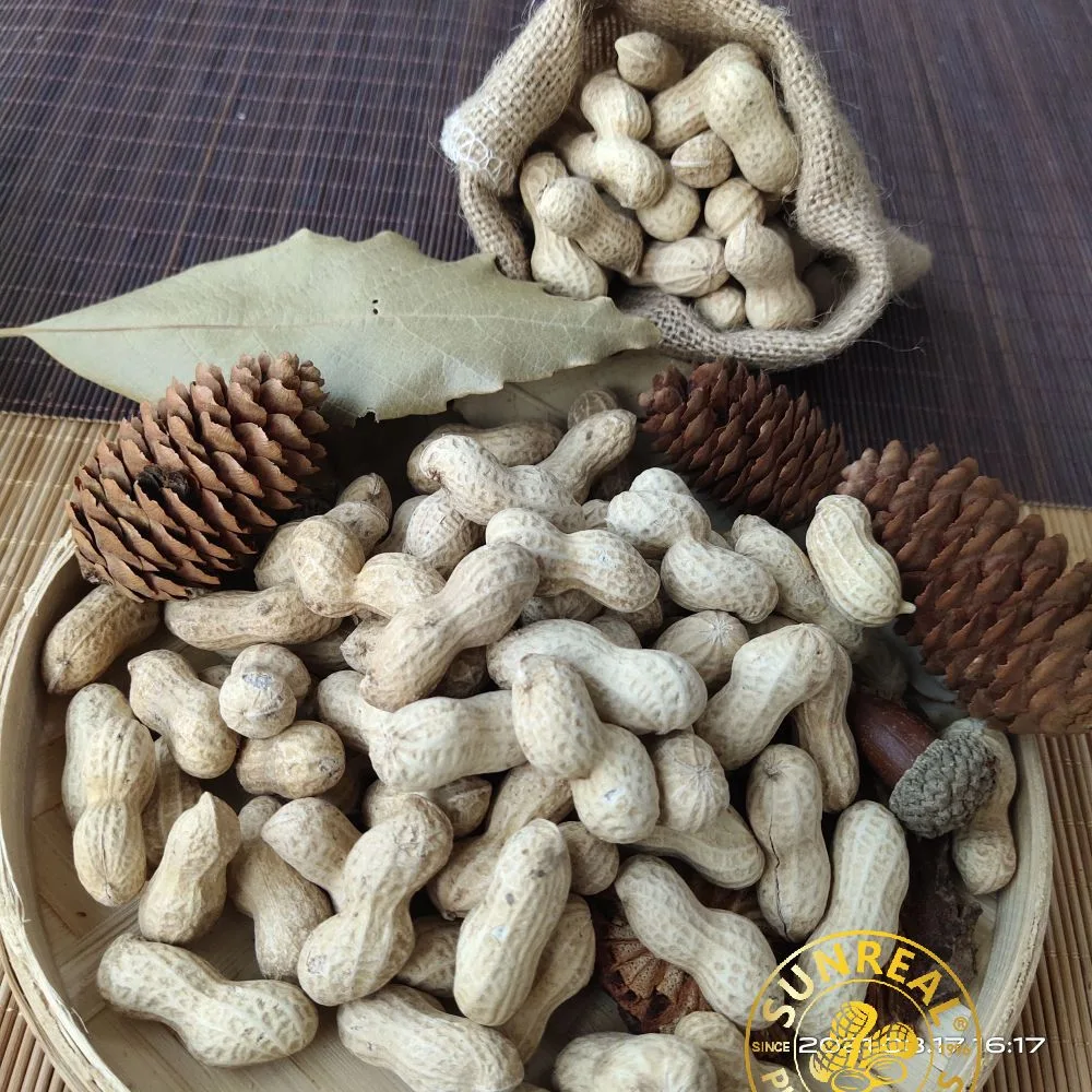 2021 Raw Peanut في Shell/Java/Good Services