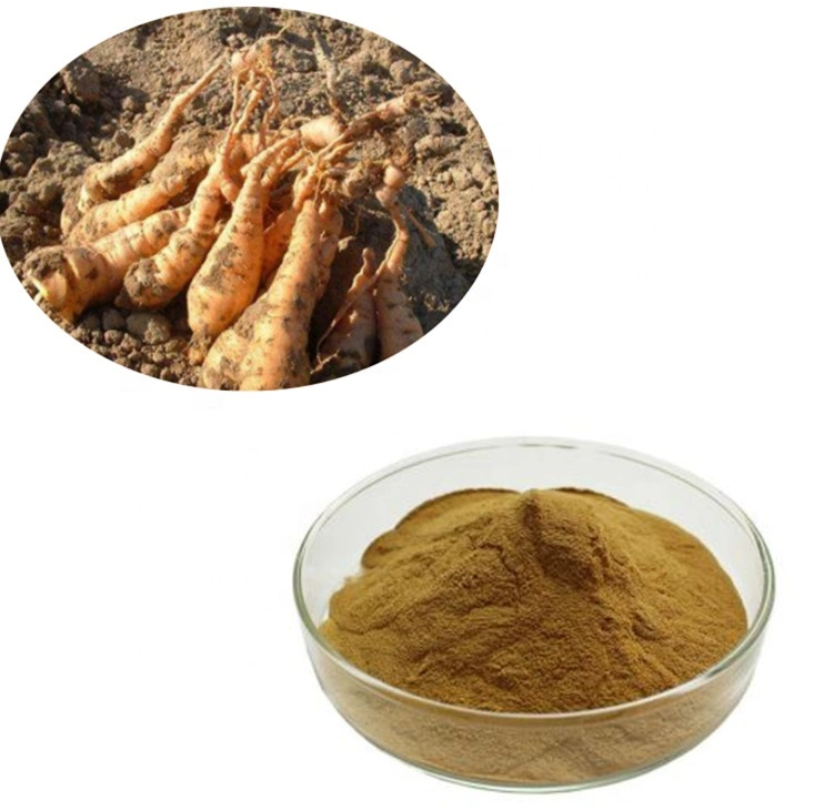 High quality/High cost performance  Rehmannia Glutinosa PE 5: 1 Prepared Rehmannia Root Extract