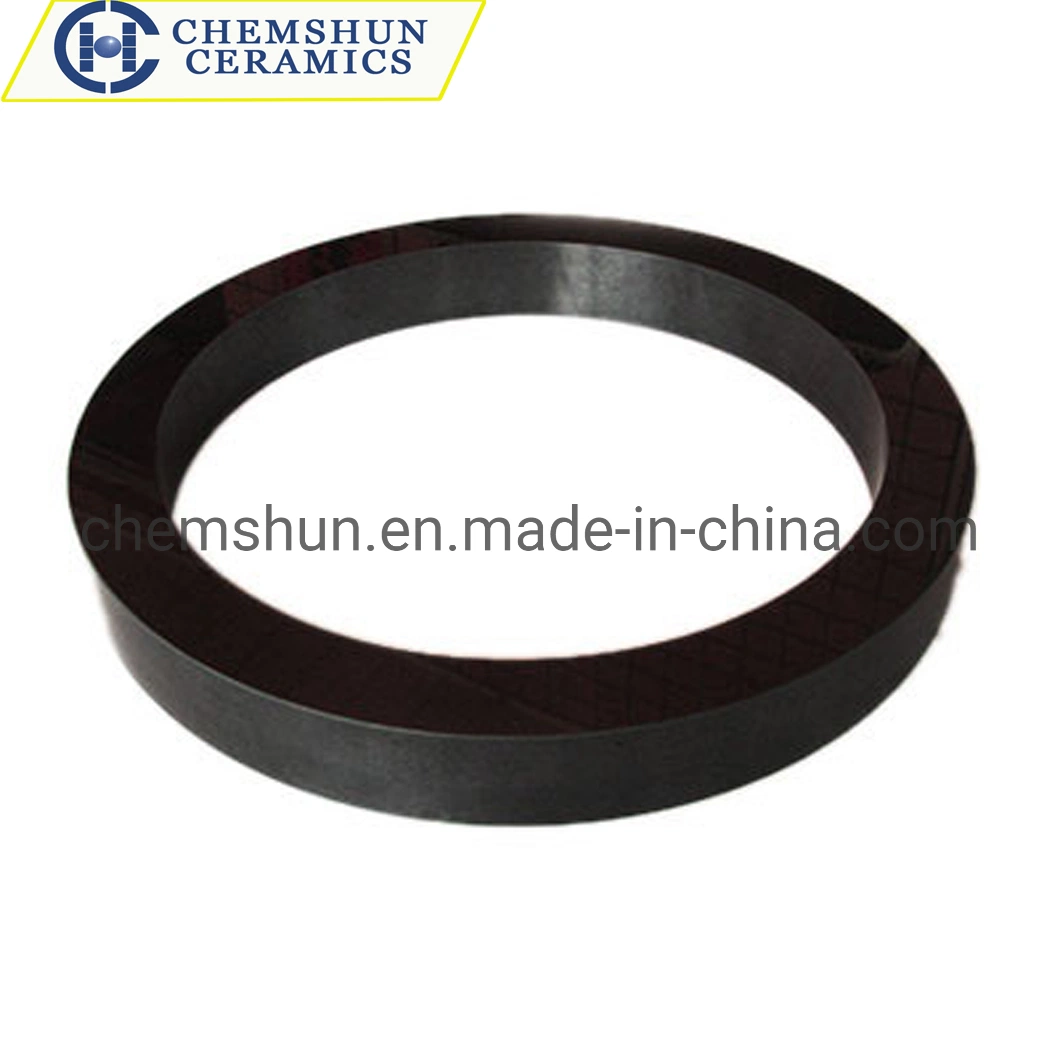 Ssic Silicon Carbide Ceramic Seal Ring