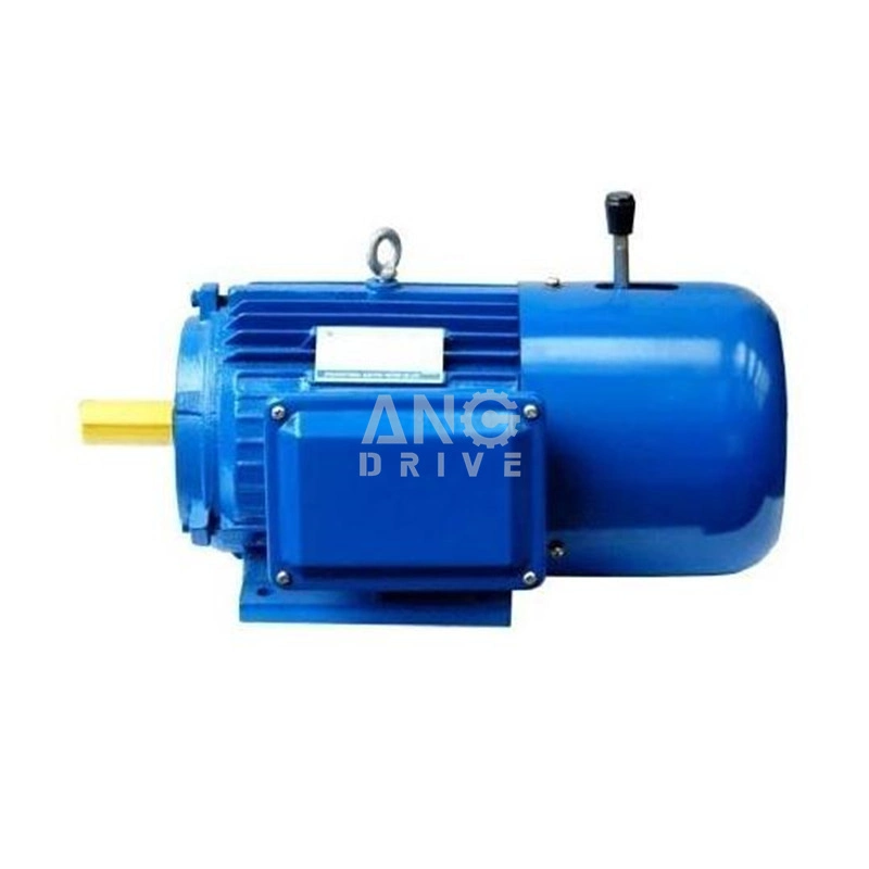 Anti Explosion Proof Electrical Engine High Low Voltage Flameproof China Manufacturer Price AC Electric Motor