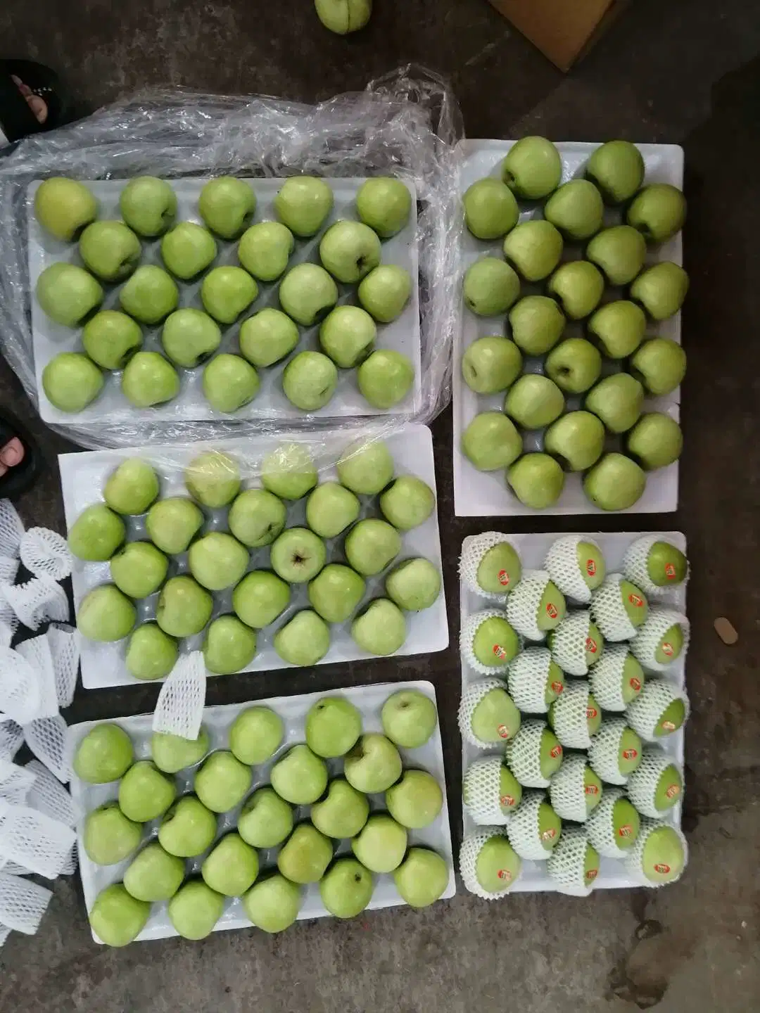 New Crop Austrilian Green Apple