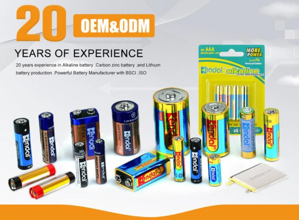 Top 5 Dry Cell Battery Manufacturer in China