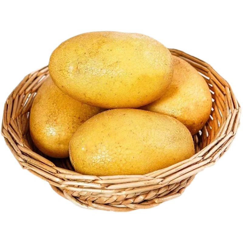 Large Russet Fresh Potato Supplier 80g 100g 150g 200g