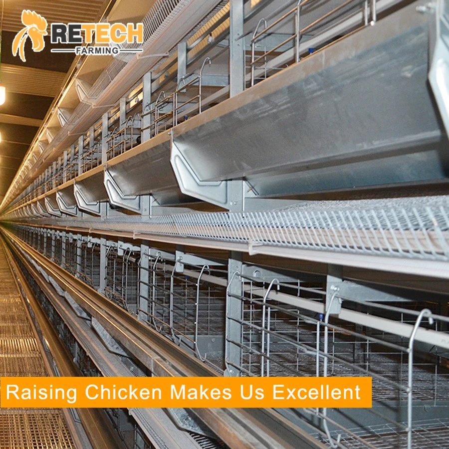 Good Price Automatic Egg Layer Chicken Farm Laying Hens Poultry Battery Cages for Sale