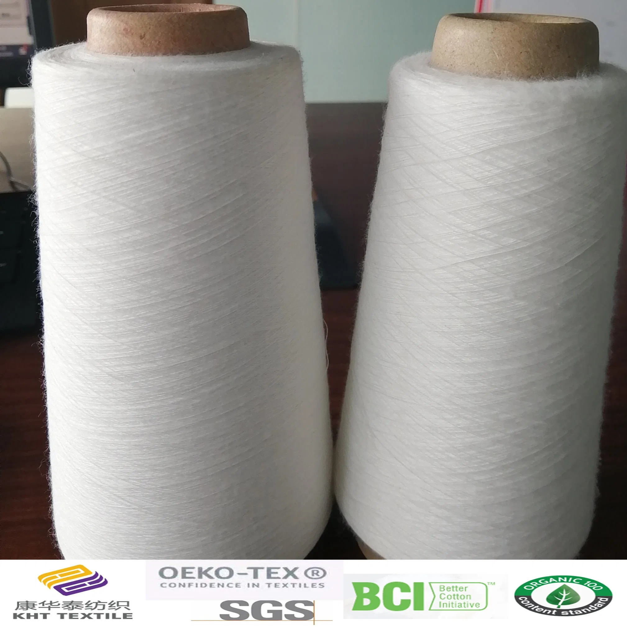 Polyester Ring Spun Yarn Ne30s/1