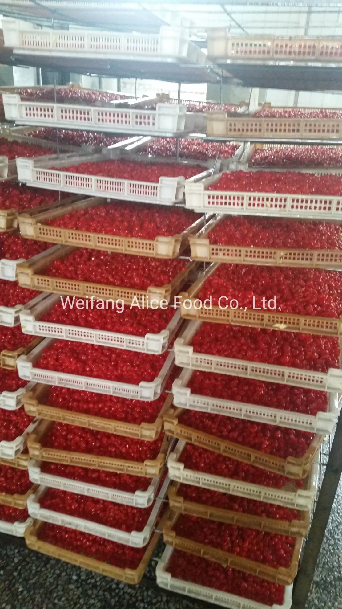 Wholesale/Supplier Dried Cherry Dice Good for Bakery and Mix with Oats Food