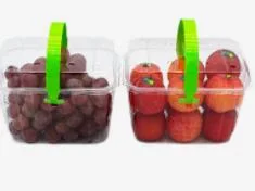 Pet Salad Packaging Small Clear Round Plastic Boxes (food, vegetables, It can hold any food)