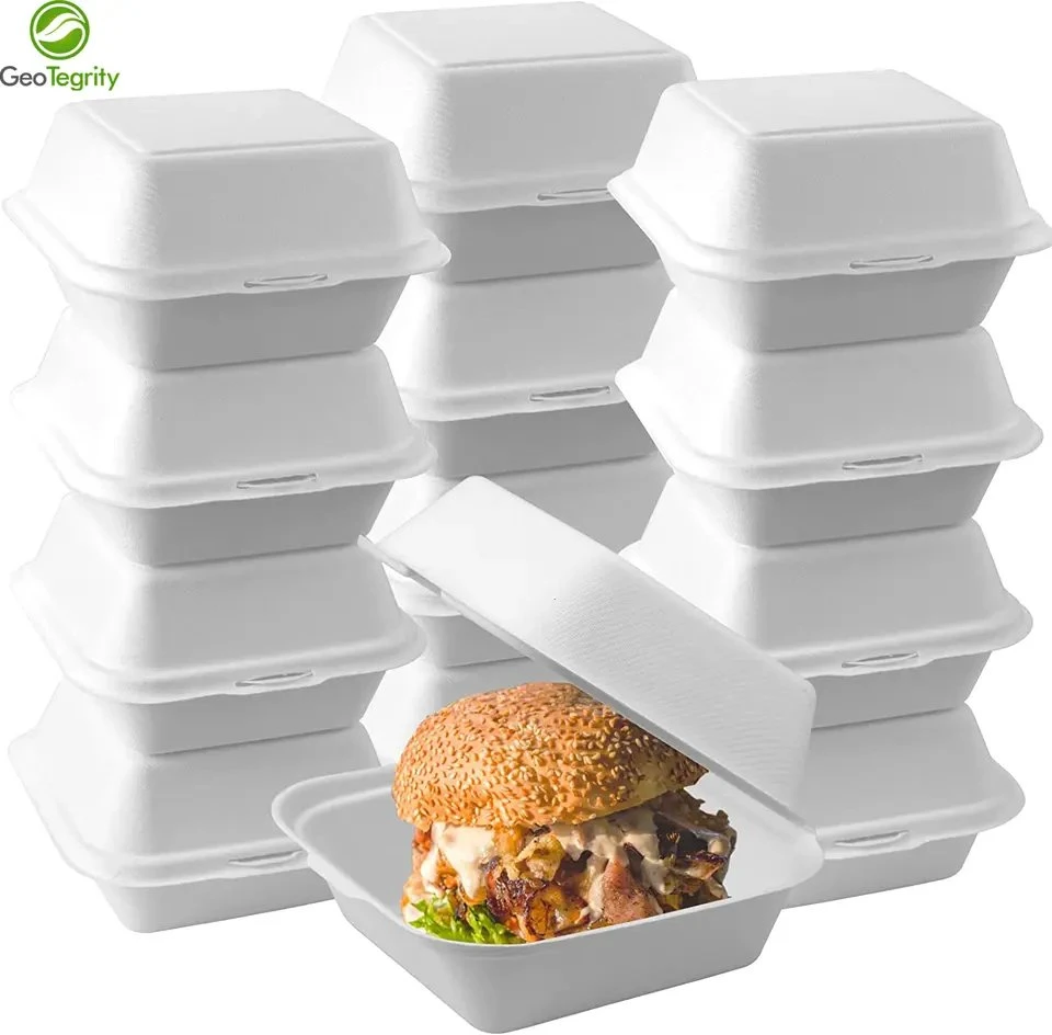 Natural or White Disposable Biodegradable Bagasse Paper Hamburger Box Food Packaging
