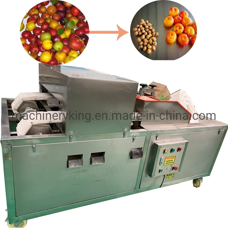 Popular Automatic Corer Machine/Plum Seed Removing Equipment/Date Nut Cutting Mechanism