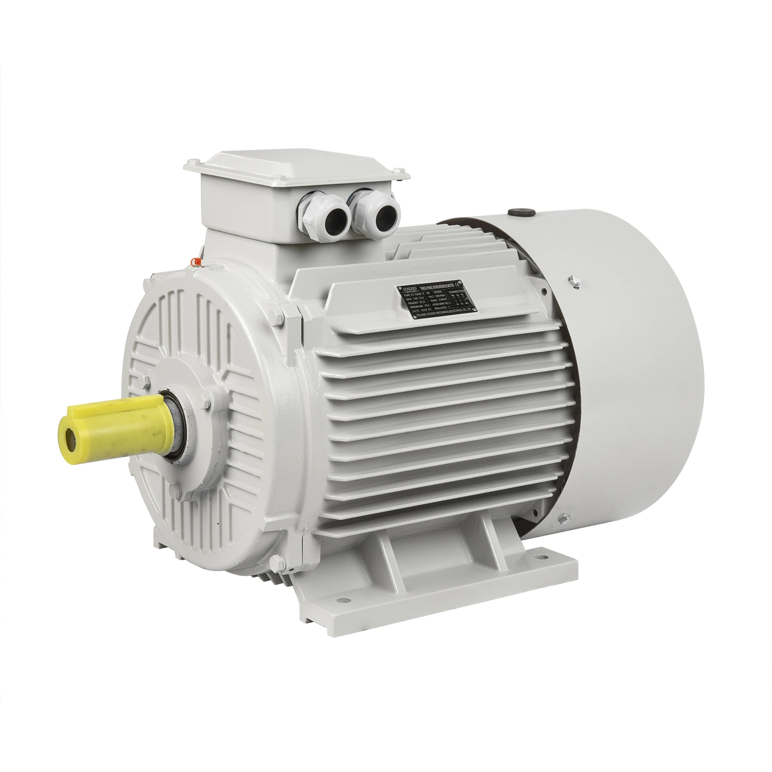 Chinese Single Phase Three Phase Electric Motor/Single Phase Electric Motor/Deep Well Submersible Pump/Water Pump/Sewage Submersible Pumps/Electrical Motors