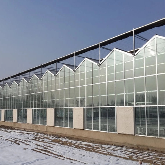 Float Glass Greenhouse with Hydroponic Growing Systems Container